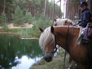 wanderritt3.JPG