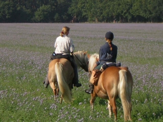 wanderritt2.JPG
