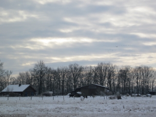 Ferienwohnung-Aussenansicht-02.jpg